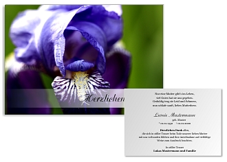 Danksagungskarten Trauer Blume
