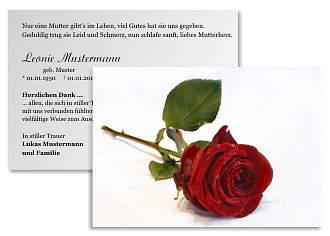 Danksagungskarten Trauer Rose